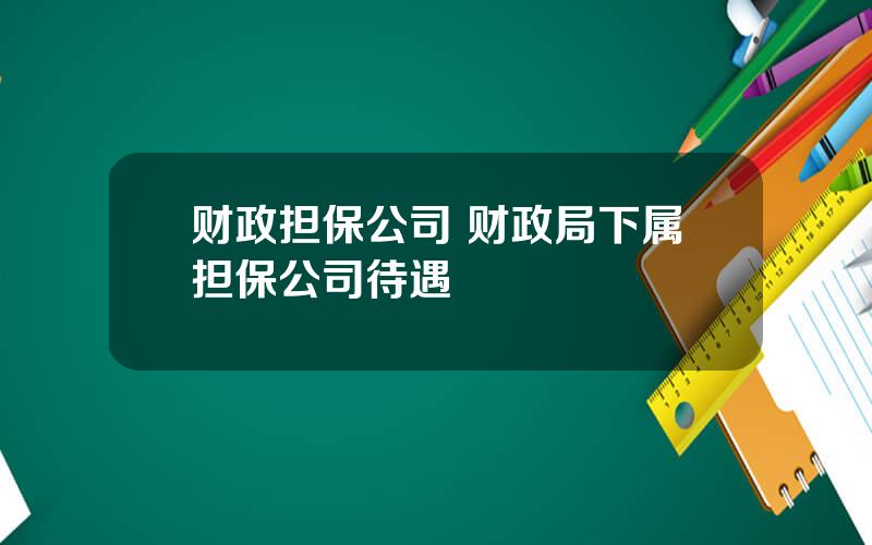 财政担保公司 财政局下属担保公司待遇